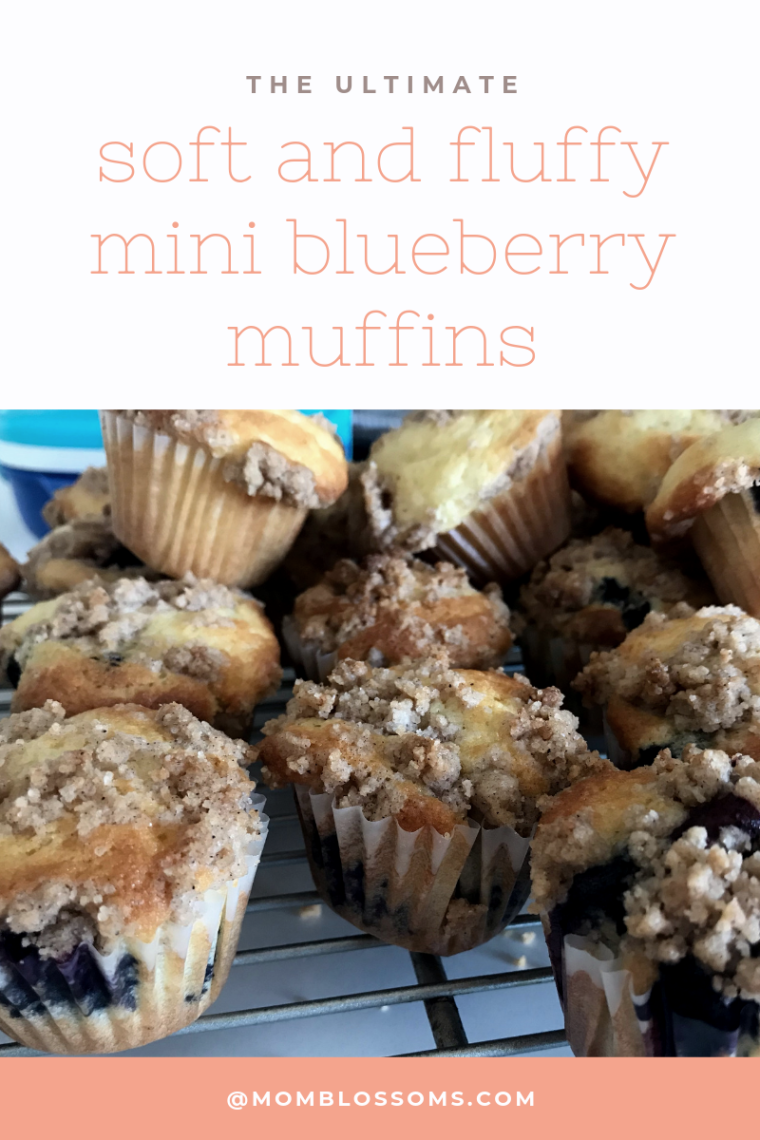 soft and fluffy mini blueberry muffins.png